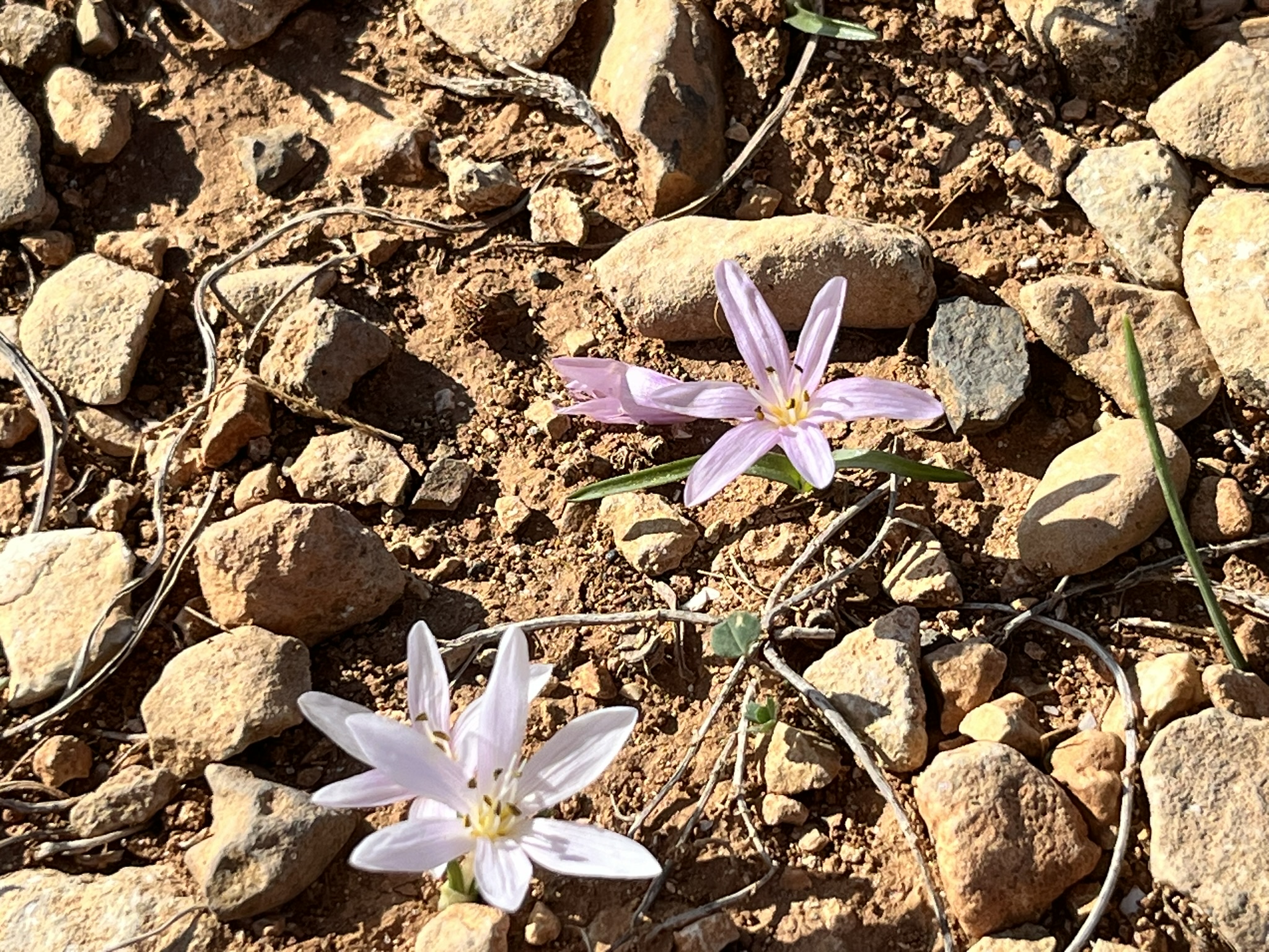 18. päev – White Tower Walk