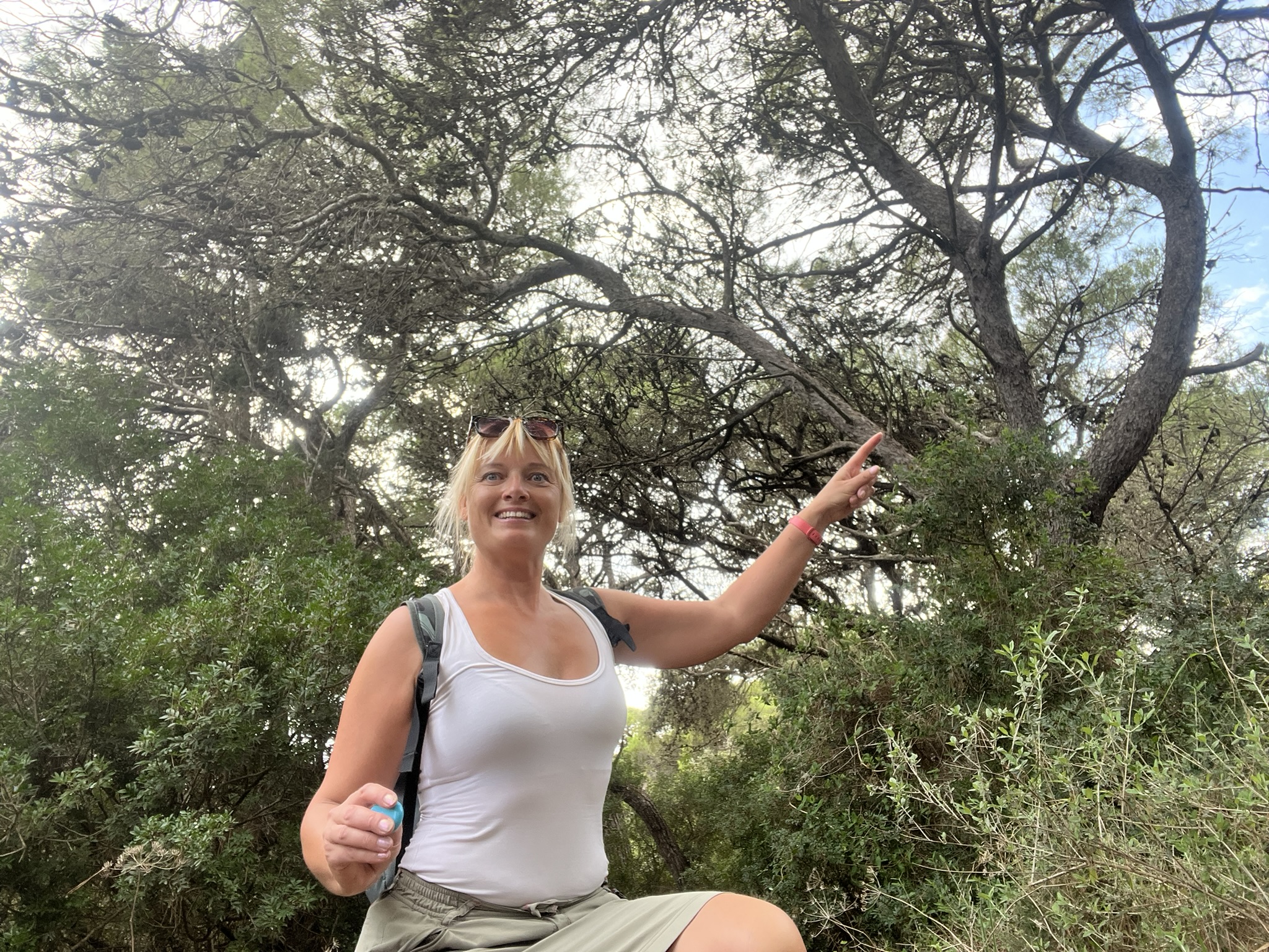 Malta 25 Dingli – Buskett Woodland